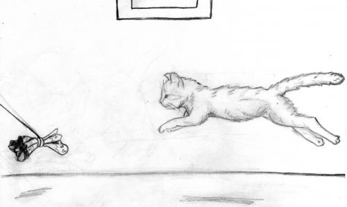 Кот прыгает за фантом